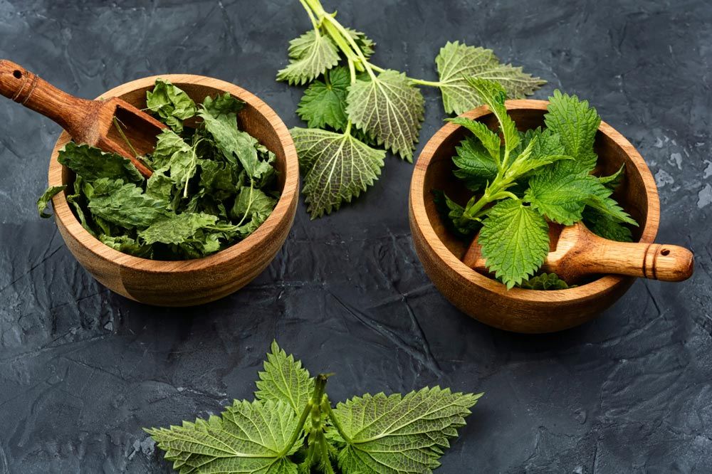 Plantas medicinales
